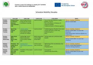 Schedule-Mobility-Slovakia